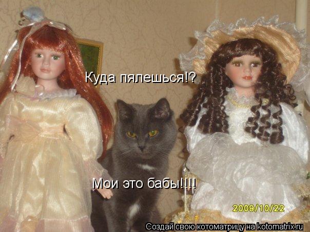 Куда пялешься!? Мои это бабы!!!!... Котоматрица: Куда пялешься!? Мои это бабы!!!!