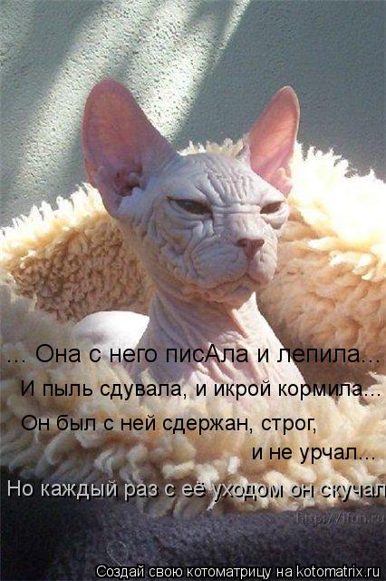 ... Она с него писАла и лепила... И пыль сдувала, и икрой кормила... Он был с ней сдержан, строг, и н... Котоматрица: ... Она с него писАла и лепила... И пыль сдувала, и икрой кормила... Он был с ней сдержан, строг, и не урчал... Но каждый раз с её уходом он скучал