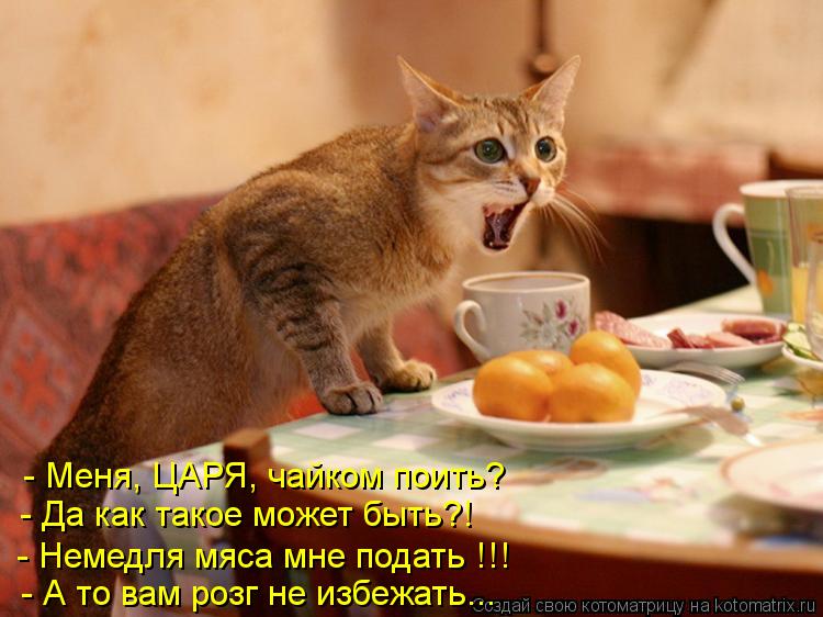 - Меня, ЦАРЯ, чайком поить? - Да как такое может быть?! - Немедля мяса мне подать !!! - А то вам розг... Котоматрица: - Меня, ЦАРЯ, чайком поить? - Да как такое может быть?! - Немедля мяса мне подать !!! - А то вам розг не избежать...