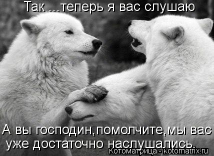 Котоматрица: Так ...теперь я вас слушаю А вы господин,помолчите,мы вас  уже достаточно наслушались.
