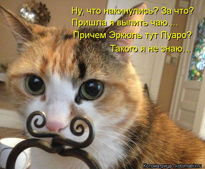 Котоматрица: Ну, что накинулись? За что? Пришла я выпить чаю.... Причем Эркюль тут Пуаро? Такого я не знаю...