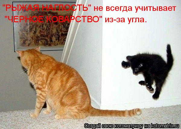 "РЫЖАЯ НАГЛОСТЬ" не всегда учитывает "ЧЕРНОЕ КОВАРСТВО" из-за угла.... Котоматрица: "РЫЖАЯ НАГЛОСТЬ" не всегда учитывает "ЧЕРНОЕ КОВАРСТВО" из-за угла.