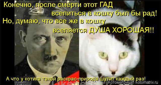 Котоматрица: Конечно, после смерти этот ГАД вселиться в кошку был бы рад! Но, думаю, что все же в кошку вселяется ДУША ХОРОШАЯ!! А что у котика такой раскра
