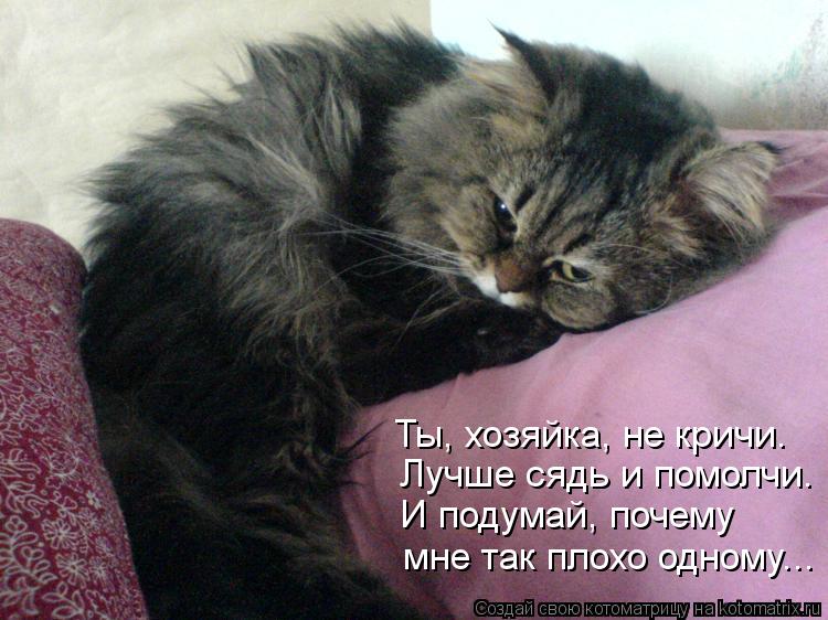 Ты, хозяйка, не кричи. Лучше сядь и помолчи. И подумай, почему мне так плохо одному...... Котоматрица: Ты, хозяйка, не кричи. Лучше сядь и помолчи. И подумай, почему мне так плохо одному...