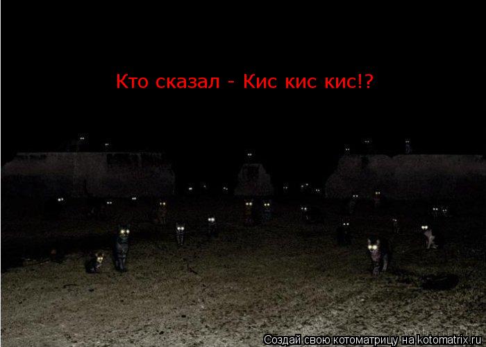Котоматрица: Кто сказал - Кис кис кис!?