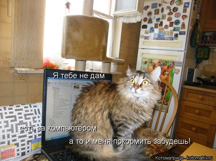 Котоматрица: Я тебе не дам есть за компьютером а то и меня покормить забудешь!