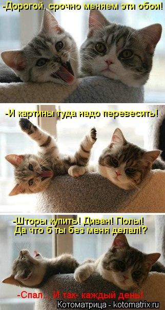 -Дорогой, срочно меняем эти обои! -И картины туда надо перевесить! -Шторы купить! Диван! Полы! Да что... Котоматрица: -Дорогой, срочно меняем эти обои! -И картины туда надо перевесить! -Шторы купить! Диван! Полы! Да что б ты без меня делал!? -Спал... И так- каждый д