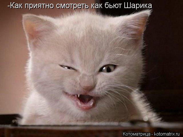 -Как приятно смотреть как бьют Шарика... Котоматрица: -Как приятно смотреть как бьют Шарика