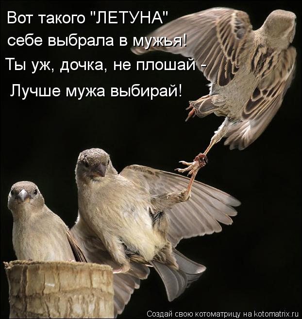 Вот такого "ЛЕТУНА" себе выбрала в мужья! Ты уж, дочка, не плошай - Лучше мужа выбирай!... Котоматрица: Вот такого "ЛЕТУНА" себе выбрала в мужья! Ты уж, дочка, не плошай - Лучше мужа выбирай!