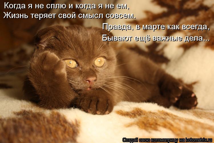 Когда я не сплю и когда я не ем, Жизнь теряет свой смысл совсем. Правда, в марте как всегда, Бывают е... Котоматрица: Когда я не сплю и когда я не ем, Жизнь теряет свой смысл совсем. Правда, в марте как всегда, Бывают ещё важные дела...