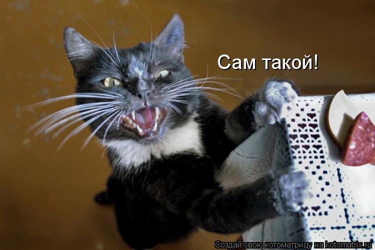 Сам такой!... Котоматрица: Сам такой!