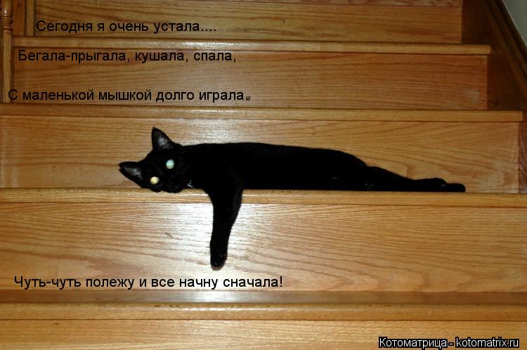 Сегодня я очень устала.... Бегала-прыгала, кушала, спала, С маленькой мышкой долго играла. Чуть-чуть... Котоматрица: Сегодня я очень устала.... Бегала-прыгала, кушала, спала, С маленькой мышкой долго играла. Чуть-чуть полежу и все начну сначала!
