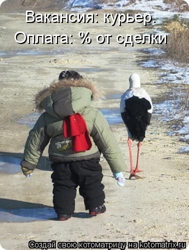 Вакансия: курьер. Оплата: % от сделки... Котоматрица: Вакансия: курьер. Оплата: % от сделки