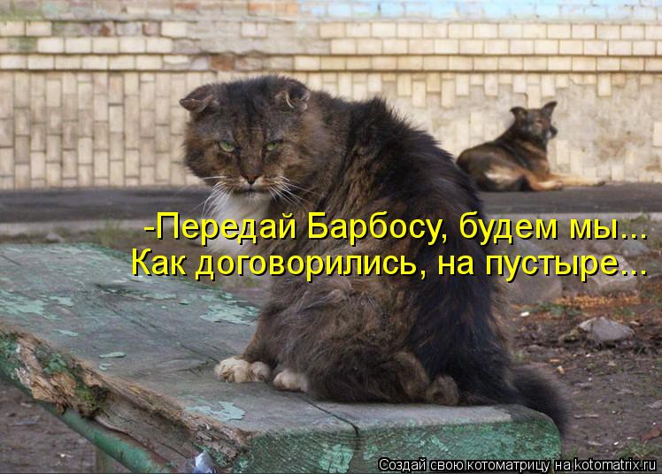 -Передай Барбосу, будем мы... Как договорились, на пустыре...... Котоматрица: -Передай Барбосу, будем мы... Как договорились, на пустыре...