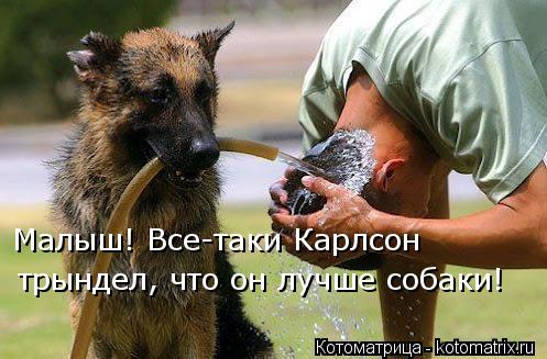 Котоматрица: Малыш! Все-таки Карлсон трындел, что он лучше собаки!