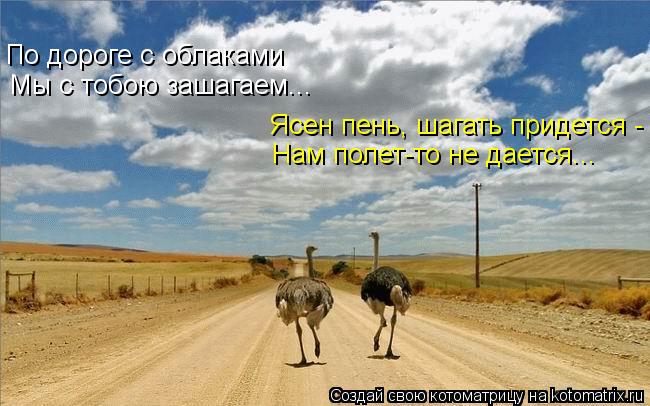 По дороге с облаками Мы с тобою зашагаем... Ясен пень, шагать придется - Нам полет-то не дается...... Котоматрица: По дороге с облаками Мы с тобою зашагаем... Ясен пень, шагать придется - Нам полет-то не дается...