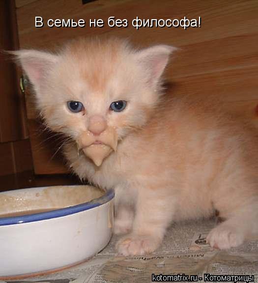 Котоматрица: В семье не без философа!