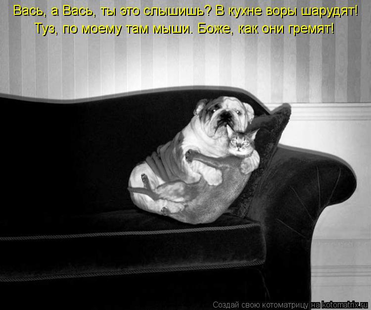 Вась, а Вась, ты это слышишь? В кухне воры шарудят! Туз, по моему там мыши. Боже, как они гремят!... Котоматрица: Вась, а Вась, ты это слышишь? В кухне воры шарудят! Туз, по моему там мыши. Боже, как они гремят!