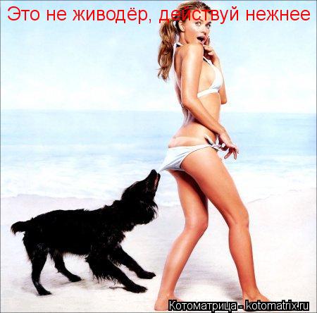 Это не живодёр, действуй нежнее... Котоматрица: Это не живодёр, действуй нежнее