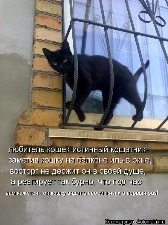 любитель кошек-истинный кошатник- заметив кошку на балконе иль в окне, восторг не держит он в своей д... Котоматрица: любитель кошек-истинный кошатник- заметив кошку на балконе иль в окне, восторг не держит он в своей душе, а реагирует так бурно, что под час в