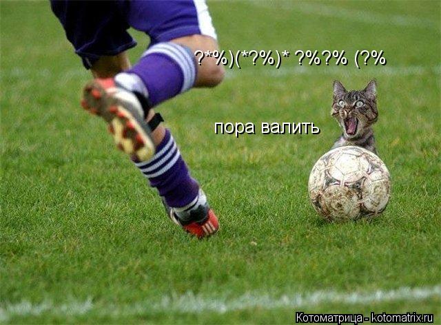 ?*%)(*?%)*№?%?%№(?% пора валить... Котоматрица: ?*%)(*?%)*№?%?%№(?% пора валить