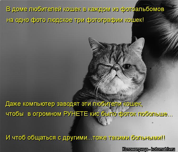 И чтоб общаться с другими...тоже такими больными!! В доме любителей кошек в каждом из фотоальбомов на... Котоматрица: И чтоб общаться с другими...тоже такими больными!! В доме любителей кошек в каждом из фотоальбомов на одно фото людское три фотографии кошек!