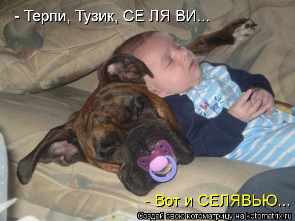 - Терпи, Тузик, СЕ ЛЯ ВИ... - Вот и СЕЛЯВЬЮ...... Котоматрица: - Терпи, Тузик, СЕ ЛЯ ВИ... - Вот и СЕЛЯВЬЮ...