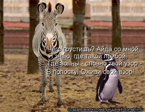 Чего грустишь? Айда со мной, Я знаю, где такой прибой, Где волны - словно твой узор - В полоску! Ожи... Котоматрица: Чего грустишь? Айда со мной, Я знаю, где такой прибой, Где волны - словно твой узор - В полоску! Оживи свой взор!