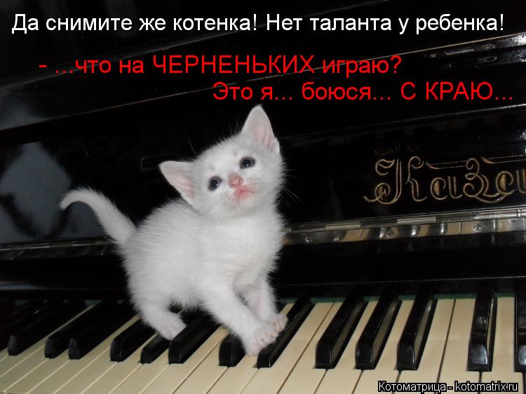 Да снимите же котенка! Нет таланта у ребенка! - ...что на ЧЕРНЕНЬКИХ играю? Это я... боюся... С КРАЮ.... Котоматрица: Да снимите же котенка! Нет таланта у ребенка! - ...что на ЧЕРНЕНЬКИХ играю? Это я... боюся... С КРАЮ...