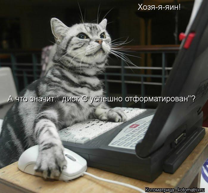 Котоматрица: Хозя-я-яин! А что значит:" диск С успешно отформатирован"?