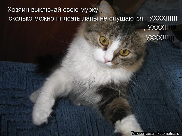 Котоматрица: Хозяин выключай свою мурку ,   сколько можно плясать лапы не слушаются , УХХХ!!!!!! , УХХХ!!!!!! , УХХХ!!!!!!