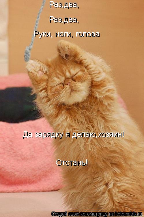 Раз,два, Раз,два, Руки, ноги, голова Да зарядку я делаю,хозяин! Отстань!... Котоматрица: Раз,два, Раз,два, Руки, ноги, голова Да зарядку я делаю,хозяин! Отстань!