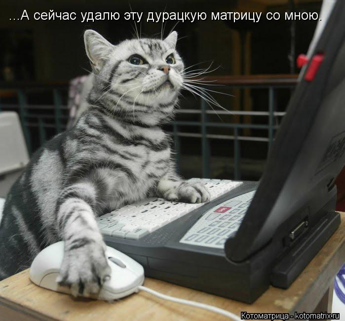 ...А сейчас удалю эту дурацкую матрицу со мною.... Котоматрица: ...А сейчас удалю эту дурацкую матрицу со мною.