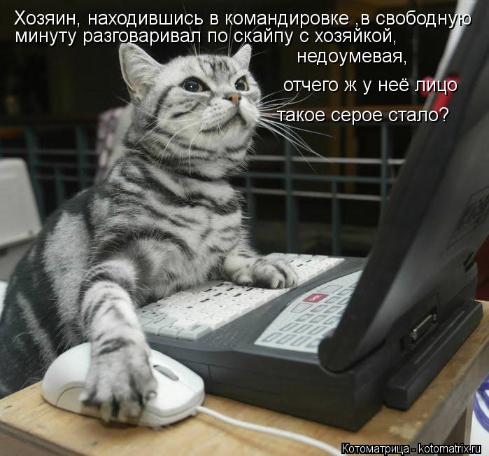 Котоматрица: Хозяин, находившись в командировке ,в свободную минуту разговаривал по скайпу с хозяйкой, недоумевая, отчего ж у неё лицо такое серое стало?