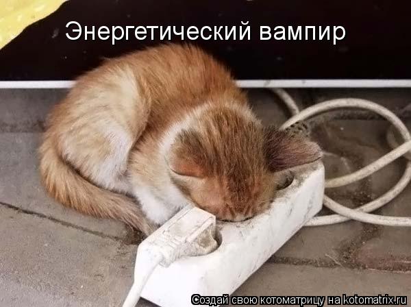 Котоматрица: Энергетический вампир