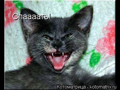 Спаааать!... Котоматрица: Спаааать!