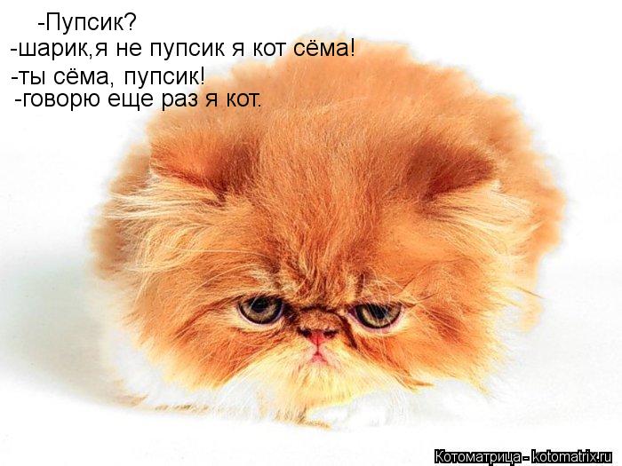 -Пупсик? -ты сёма, пупсик! -говорю еще раз я кот. -шарик,я не пупсик я кот сёма!... Котоматрица: -Пупсик? -ты сёма, пупсик! -говорю еще раз я кот. -шарик,я не пупсик я кот сёма!