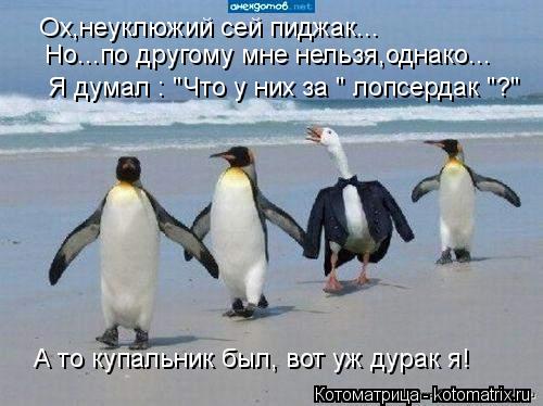 Ох,неуклюжий сей пиджак... Но...по другому мне нельзя,однако... Я думал : "Что у них за " лопсердак "... Котоматрица: Ох,неуклюжий сей пиджак... Но...по другому мне нельзя,однако... Я думал : "Что у них за " лопсердак "?" А то купальник был, вот уж дурак я!