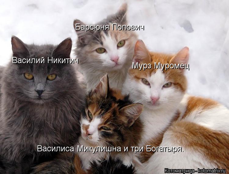 Василиса Микулишна и три Богатыря. Мурз Муромец Барсюня Попович Василий Никитич... Котоматрица: Василиса Микулишна и три Богатыря. Мурз Муромец Барсюня Попович Василий Никитич