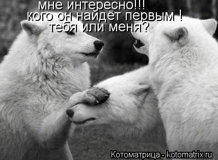Котоматрица: мне интересно!!! кого он найдёт первым ! тебя или меня?