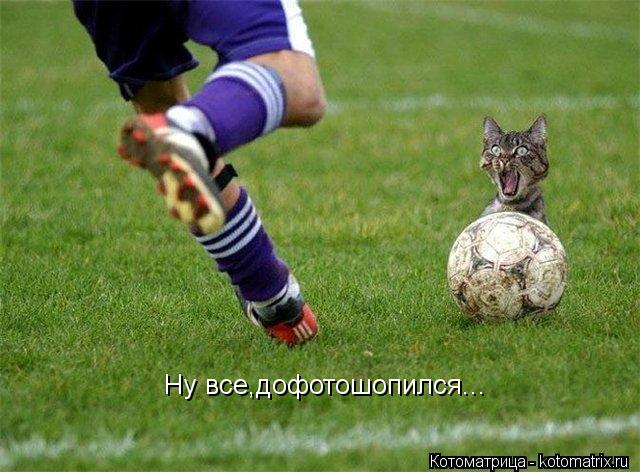 Ну все,дофотошопился...... Котоматрица: Ну все,дофотошопился...