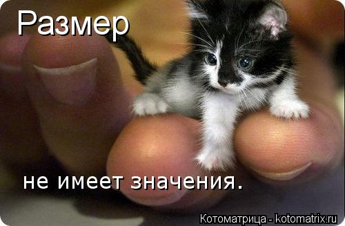 Котоматрица: Размер не имеет значения.