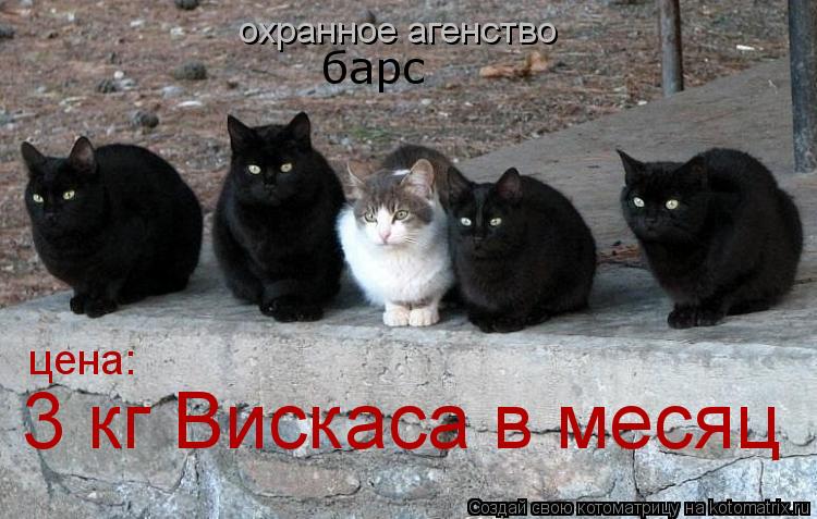 охранное агенство барс 3 кг Вискаса в месяц цена:... Котоматрица: охранное агенство барс 3 кг Вискаса в месяц цена:
