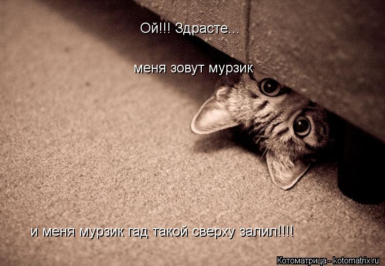 Ой!!! Здрасте... меня зовут мурзик меня зовут мурзик и меня мурзик гад такой сверху залил!!!!... Котоматрица: Ой!!! Здрасте... меня зовут мурзик меня зовут мурзик и меня мурзик гад такой сверху залил!!!!