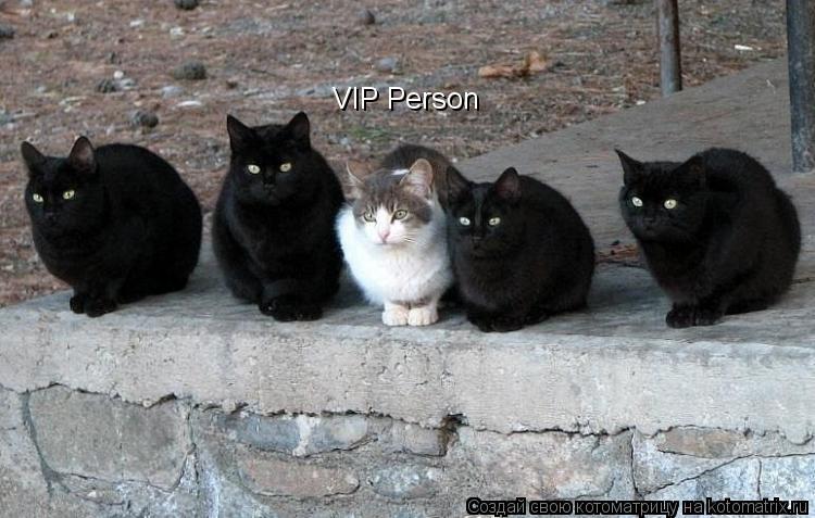VIP Person... Котоматрица: VIP Person