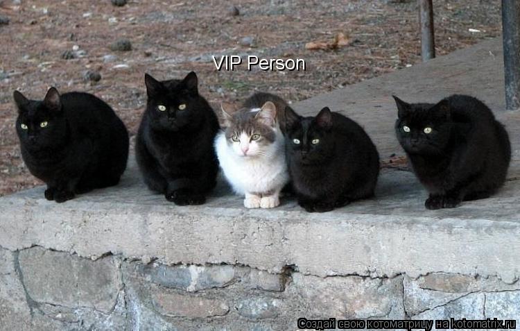 Котоматрица: VIP Person