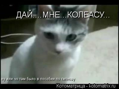 ДАЙ....МНЕ...КОЛБАСУ... ну или чо там было в пособии по гипнозу... Котоматрица: ДАЙ....МНЕ...КОЛБАСУ... ну или чо там было в пособии по гипнозу