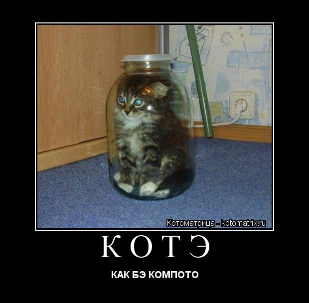 КОТЭ КАК БЭ КОМПОТО... Котоматрица: КОТЭ КАК БЭ КОМПОТО