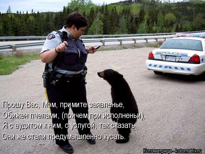Прошу Вас, Мэм, примите заявленье, Обижен пчелами, (причем при исполненьи), Я с аудитом к ним, с услу... Котоматрица: Прошу Вас, Мэм, примите заявленье, Обижен пчелами, (причем при исполненьи), Я с аудитом к ним, с услугой, так сказать. Они же стали предумышлен