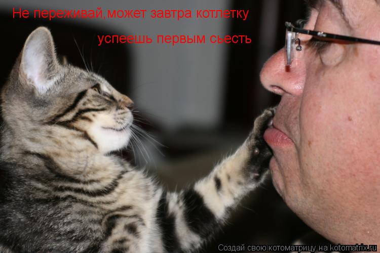 Не переживай,может завтра котлетку успеешь первым сьесть... Котоматрица: Не переживай,может завтра котлетку успеешь первым сьесть